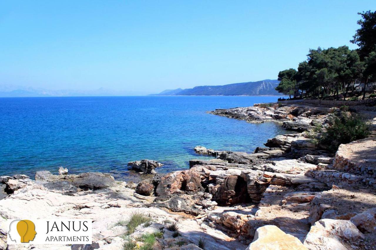 Janus Apartament